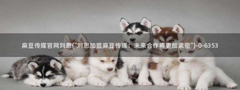 麻豆视频新片文案