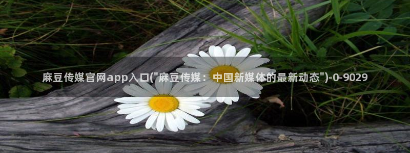 麻豆站点地图