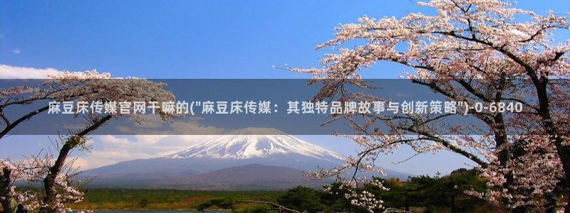 麻豆视频更新维护