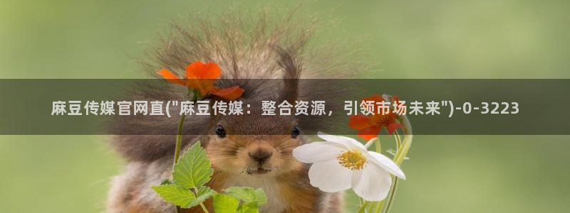 麻豆资讯标题