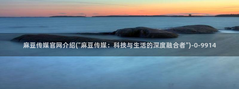 麻豆视频入口