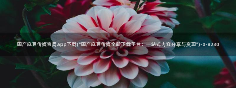 麻豆视频图片规则
