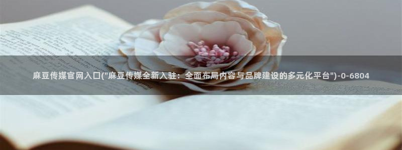 麻豆精选页