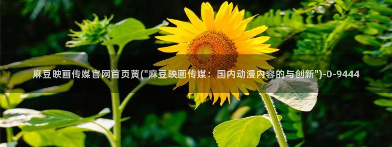 麻豆演员标题