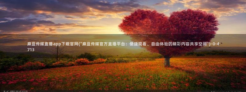 麻豆视频页面标题