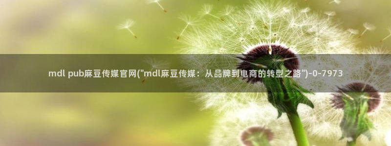 麻豆视频关于我们