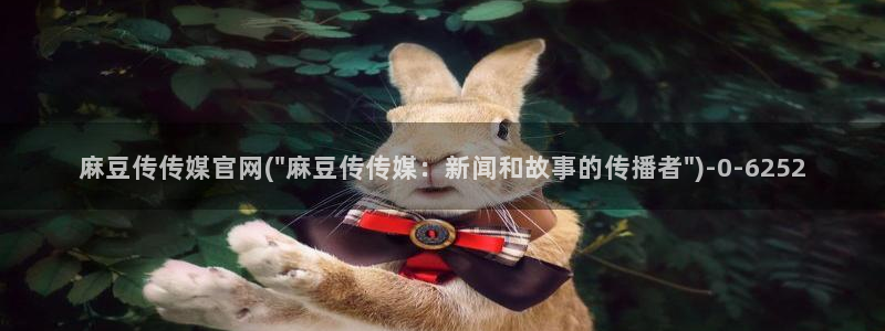 麻豆视频长尾关键词