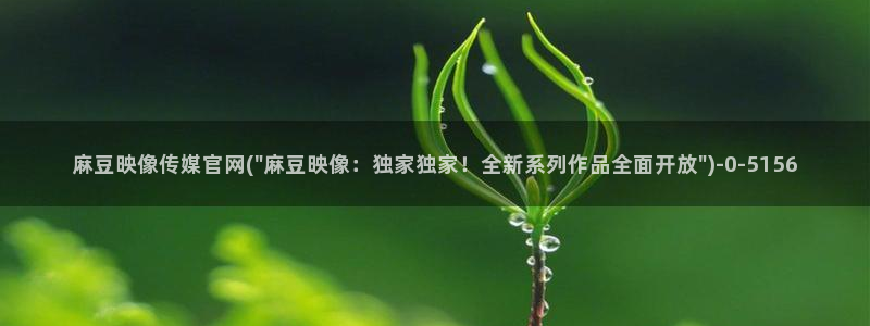 麻豆视频优质内容