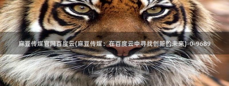 麻豆视频评分