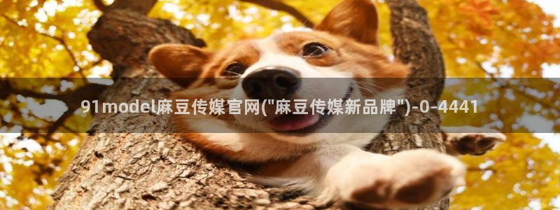 麻豆视频在线看