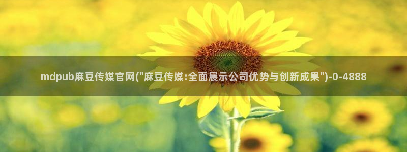 麻豆视频资料文案