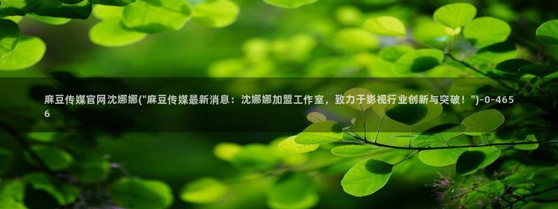 麻豆视频优质内容