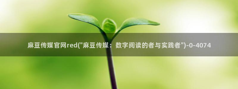 麻豆视频内容维护