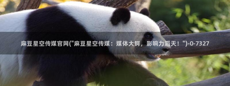 麻豆视频分类规则