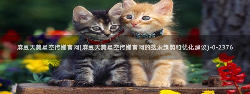 麻豆视频清晰导航