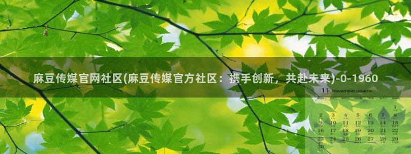 麻豆视频封面
