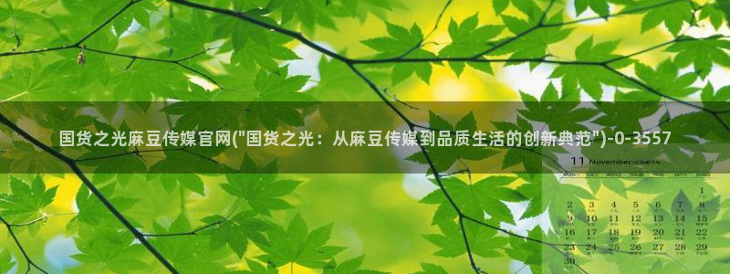 麻豆描述库