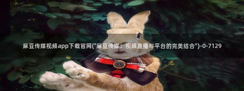 麻豆影视