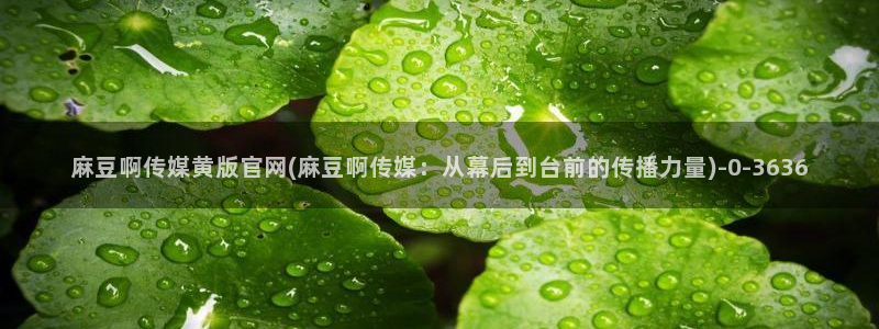 麻豆视频页面结构：麻豆啊传媒黄版官网(麻豆啊传媒：从幕后到台前的传播力量
