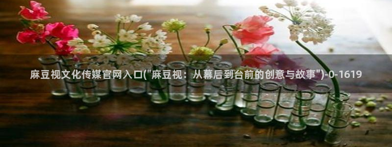 麻豆剧情解析：麻豆视文化传媒官网入口(\