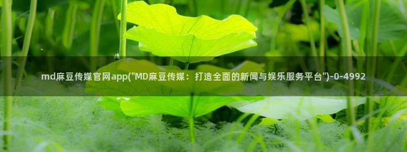 麻豆视频高流量词：md麻豆传媒官网app(\