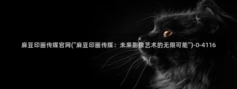 麻豆人物关系