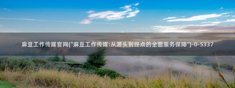 麻豆分类库：麻豆工作传媒官网(\