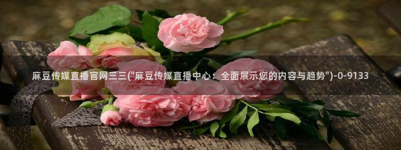 麻豆视频推荐