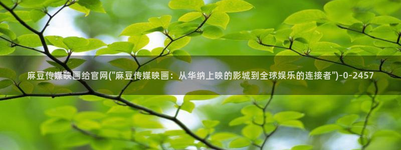 麻豆内容整理