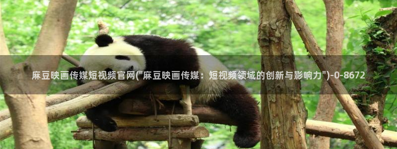 麻豆视频资料文案